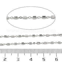 304 Stainless Steel Cuboid Link Chains&nbsp;CHS-G050-02P