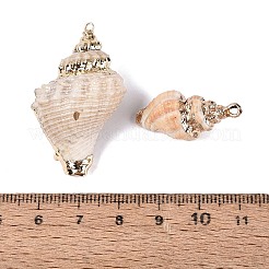 Electroplate Natural Sea Shell Pendants&nbsp;SSHEL-Q100-25KCG