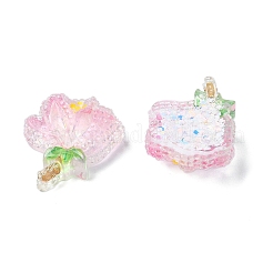Transparent Epoxy Resin Decoden Cabochons&nbsp;CRES-I030-01A