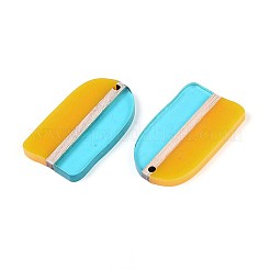 Transaprent Resin & Wood Pendants&nbsp;RESI-T057-81