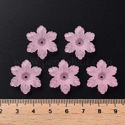 Transparent Acrylic Beads&nbsp;MACR-S373-117-D12