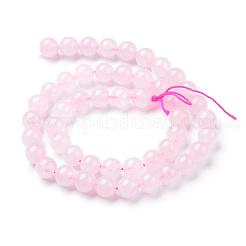 Natural Rose Quartz Beads Strands&nbsp;G-T055-4mm-13