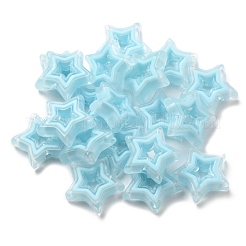 Acrylic Beads&nbsp;X-SACR-G033-02-M