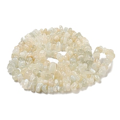 Natural White Moonstone Beads Strands&nbsp;G-P332-01