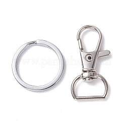 Alloy and Iron Keychain Clasps&nbsp;PALLOY-XCP0001-70