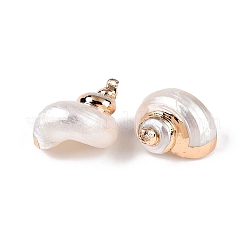 20Pcs Electroplated Natural Sea Shell Pendants&nbsp;SSHEL-PH0001-53