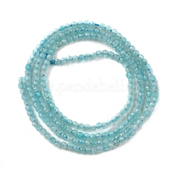 Natural Amazonite Beads Strands&nbsp;G-V001-A01-2mm