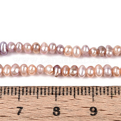 Natural Cultured Freshwater Pearl Beads Strands&nbsp;PEAR-N025-01B