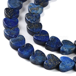 Dyed Natural Lapis Lazuli Beads Strands&nbsp;G-M403-A30-02