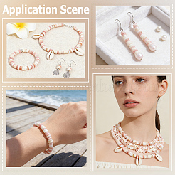4 Strands 4 Colors Natural Shell Beads Strands&nbsp;SSHEL-PA0001-04