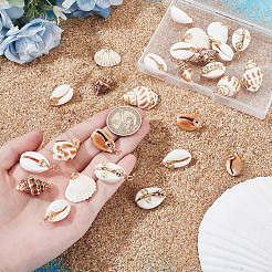 28Pcs 7 Styles Natural Mixed Shell Pendants&nbsp;PALLOY-HY00104