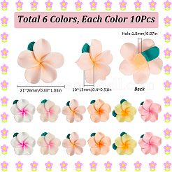 60Pcs 6 Colors Handmade Polymer Clay Beads&nbsp;CLAY-SC0002-17
