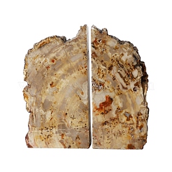 Natural Petrified Wood Bookends&nbsp;AJEW-H157-12