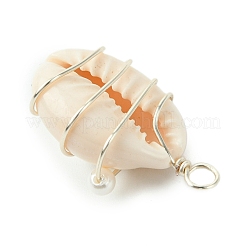 Natural Cowrie Shell Copper Wire Wrapped Pendants&nbsp;PALLOY-TA00196-02