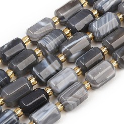 Natural Botswana Agate Beads Strands&nbsp;G-P611-A01-01