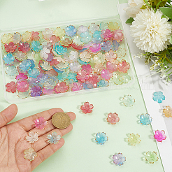 180Pcs 6 Colors Acrylic Bead Caps&nbsp;OACR-PA0001-15