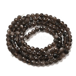 Natural Silver Sheen Obsidian Beads Strands&nbsp;G-E608-A02-B