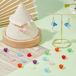 800Pcs 8 Colors Transparent Acrylic Bead Caps&nbsp;FACR-HS0001-01