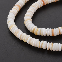 Natural Freshwater Shell Beads Strands&nbsp;SHEL-T018-31
