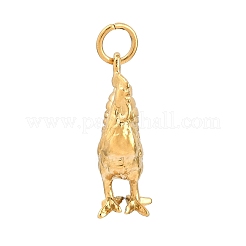 Brass Pendants&nbsp;KK-CBA855A-01G-10