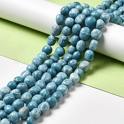 Natural Gemstone Beads Strands&nbsp;G-F730-05B