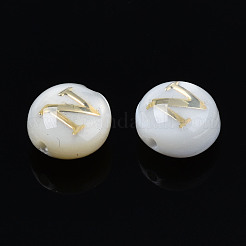 Natural Freshwater Shell Beads&nbsp;SHEL-S278-036N