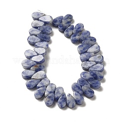 Natural Blue Spot Jasper Beads Strands&nbsp;G-B064-B59