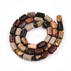 Natural Picasso Jasper/Polychrome Jasper Beads Strands&nbsp;G-N346-01B-05