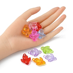 50g Transparent Acrylic Pendants&nbsp;TACR-YW0001-69