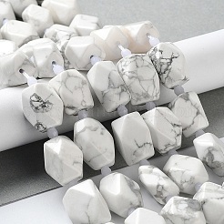 Natural Howlite Beads Strands&nbsp;G-C182-23-02