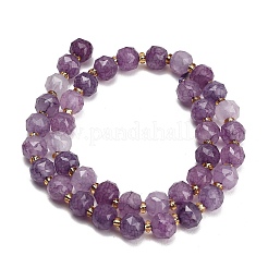 Dyed Imitation Jade Glass Beads Strands&nbsp;GL-Z001-02B-08