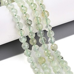 Natural Prehnite Beads Strands&nbsp;G-S345-6mm-28