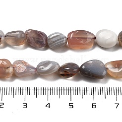 Natural Botswana Agate Beads Strands&nbsp;G-P433-20A