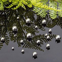 304 Stainless Steel Beads&nbsp;STAS-PH0019-22P