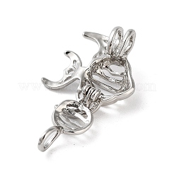 Alloy Bead Cage Pendants&nbsp;FIND-M012-01E-P
