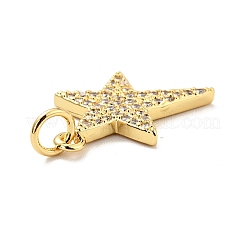Brass Micro Pave Cubic Zirconia Pendants&nbsp;KK-E015-14G