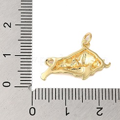 Rack Plating Brass Pendants&nbsp;KK-S372-07G