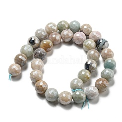 Natural Amazonite Beads Strands&nbsp;G-O164-02-12mm