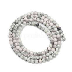 Natural Howlite Beads Strands&nbsp;G-C181-B03-01