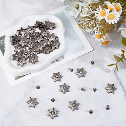 30Pcs Zinc Alloy Decorative Rivets&nbsp;FIND-GF0009-18