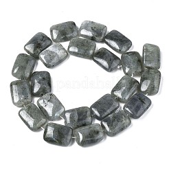Natural Labradorite Beads Strands&nbsp;X-G-T121-13