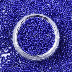 FGB 11/0 Grade A Glass Seed Beads&nbsp;SEED-S030-1024