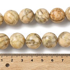 Natural Feldspar Beads Strands&nbsp;G-F818-A06-16mm-02