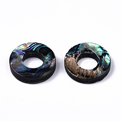 Natural Abalone Shell/Paua Shell Beads&nbsp;SSHEL-T014-10