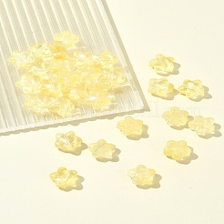30Pcs Baking Paint Glass Beads&nbsp;GLAA-FS0001-99C