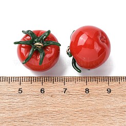 Imitation Vegetable Resin Pendants&nbsp;RESI-K033-03B-03
