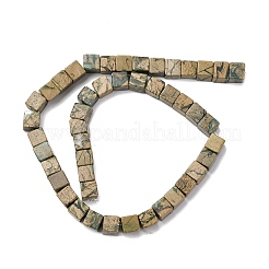 Natural Verdite Stone Beads Strands&nbsp;G-B155-C11-8x8mm