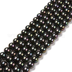 Shell Pearl Bead Strands&nbsp;X-BSHE-L025-05-6mm