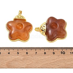 Brass & Resin Pendants&nbsp;KK-A303-04G-01