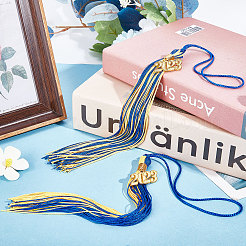 2Pcs 2 Colors Polyester 2023 Tassel Pendant Decorations&nbsp;HJEW-GF0001-33